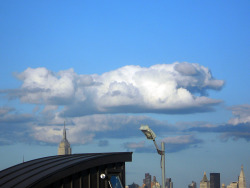 kingcheddarxvii:  rhetthammersmith:  Dog cloud over Manhattan