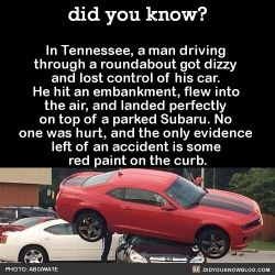 did-you-kno:  In Tennessee, a man driving through a roundabout