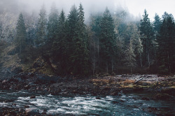 danielodowd:  Snoqualmie River by Jared Atkins on Flickr.