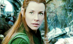 bellamying:  ELVES 