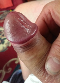 iloveprecum:  Thanks for submitting, Gary! 