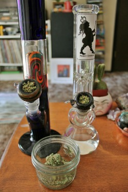 smokingweed:  nice clean bongs (: ready to smoke some bowls!