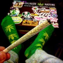 weedporndaily:  ðŸ™ŒðŸðŸ’¨ðŸ’¨ #HighBuds ðŸ’¦ #MarriedToMarijuana ðŸƒ by @highbuds420