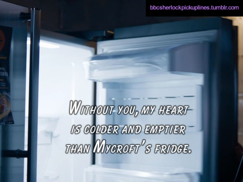 “Without you, my heart is colder and emptier than Mycroft’s fridge.”