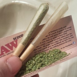 weedporndaily:  Back💨 to Back💨  by budz_bunny http://ift.tt/THuhVo