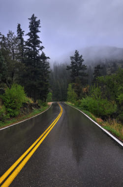 lacerto:  Misty Mountain Road Trip by Fort Photo.