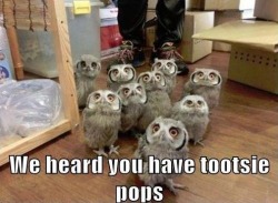pleatedjeans:  via