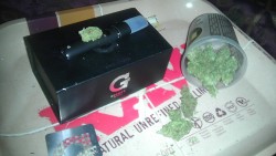 bak3rsgangshawty:  Big beautiful nuggets for my micro g.#Totheface#singlesessions