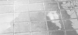 oriondiary:  ”When it rains look for rainbow, when it’s dark