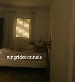 cornitude:  Sábado começa com foto pelo celular e muitas ordens