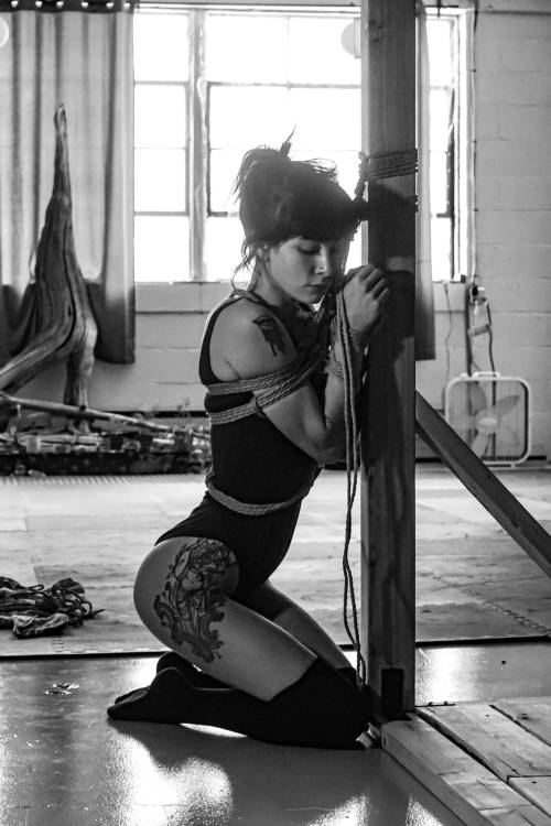 justscreenshots:  Shibari & Photo R•M•ZModel Élisa Donna