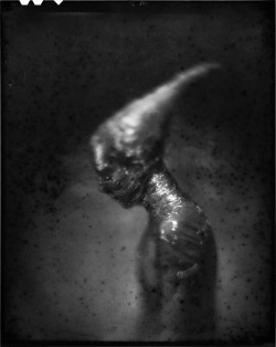 Brooke Lynne | James Wigger