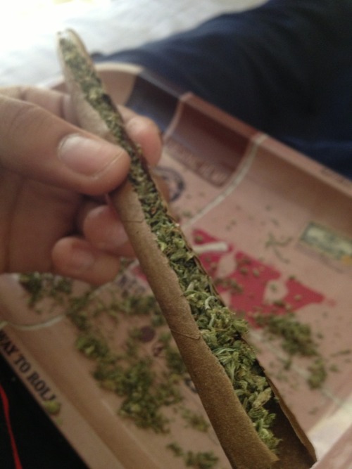 slammstoned:  rollin’