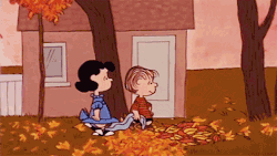 cherry-fizzle:  Happy First day of Autumn!🍁🍃 