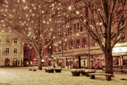 I wish fairbanks looked like this at the start of winter haha
