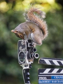 Hang on, just gotta check my shutter speed &hellip;