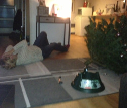  santamaslow: the christmas tree fell this was my mom’s response