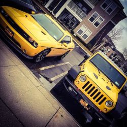 My babies ❤️🚗💨#mopar #dodge #challenger #jeep #wrangler