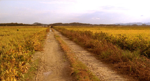 barcarole:   살인의 추억 (Memories of Murder), dir. Bong