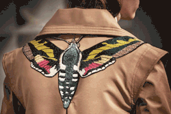 gucci:  An insect revealed on the back of a coat from Gucci Fall
