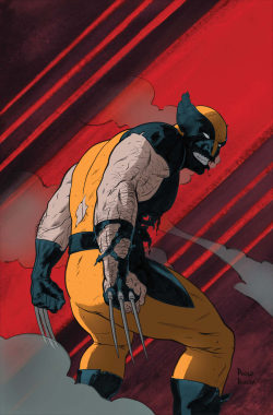 fyeahsuperheroes:  Wolverine 5.1