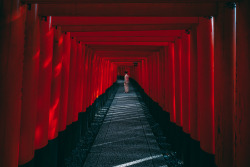 ourbedtimedreams:The Red Pathway by peter stewart | photography
