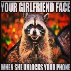 fuhkyofeelings:  #girlfriend #boyfriend #lmfao #raccoon #rns