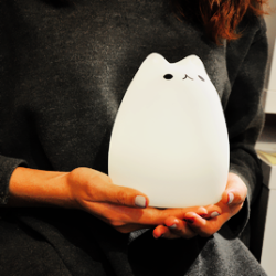 hanae-ichihara:  ✧ Cat Cartoon USB Charging Ombre Night Light