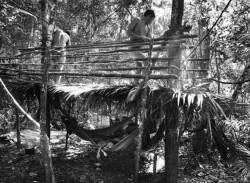 The Awá, by Sebastião SalgadoThe Awá make hammocks from ‘tucum’ palm fibres – the contacted Awá also use cotton – and headdresses from toucan feathers.They are able to build a house from lianas, leaves and tree saplings in a few hours.