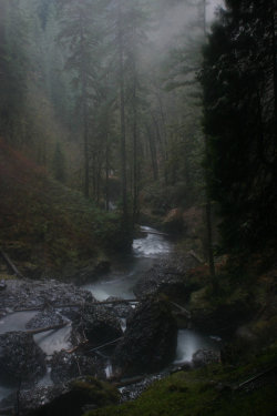 ominousraincloud:  North Falls | By Jennifer Ward | Marion, Oregon,