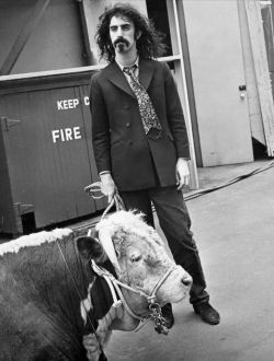 caraincertezza:  Frank Zappa 