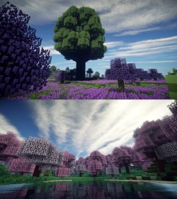 vujon:  the beauty of minecraft pt. 1  Woah @@