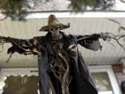 sixpenceee:  A compilation of terrifying scarecrows. I’ll be