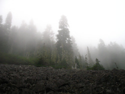 90377: Mount Rainier: Mowich Lake & Spray Park Hike by Jeremy