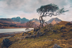 siyahalbatros:    Shaped by elements … “  Isle of Skye,