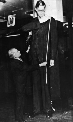 Robert Wadlow, 2,72 mètres.