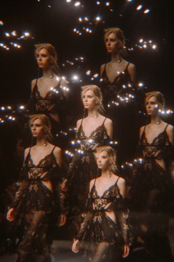 empyreane: Alexander McQueen by Steph Wilson 