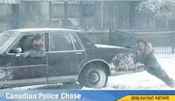 verycoolpics:  Now that’s funny 