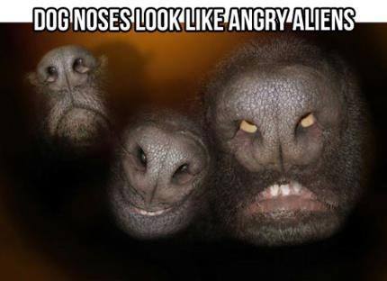 I don’t trust the evil grin on the middle one