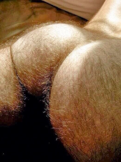 hairymike53:  😍😍   CUL ROND POILU BLOND !