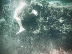elmalo82:  Submerging.