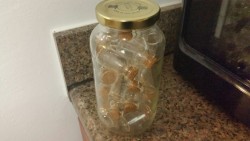 witchella:  Everyone, meet my jar of jars. His name is Jar Jar.
