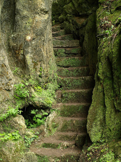 justrebellion:  mossy stairs on Flickr 