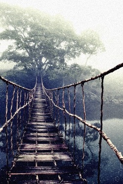 brutalgeneration:   Tumblr on We Heart It. http://weheartit.com/entry/67670851
