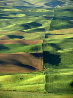 justemoinue2: Farmland Palouse, Washington 