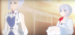theivorytowercrumbles:  !!!!!     #Weiss do you actually like