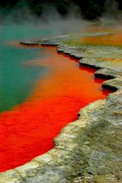 x-enial:  Waiotapu Thermal Reserve, Rotorua, New Zealand (by