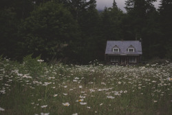 amandakaynorman:  Port Angeles, Washington June 2019   Home 🥰🥰❤️