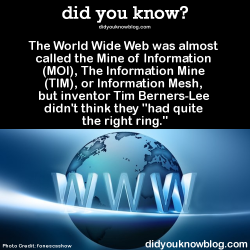 did-you-kno:  The World Wide Web was almost called the Mine of