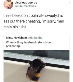 Male bees die after they bust that nut, so if he cheating he